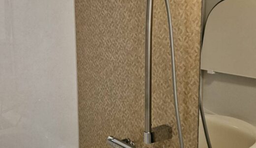 洗練と贅沢が交わる、高級感溢れる浴室